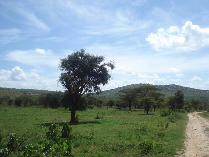 fb_img_1442989739863