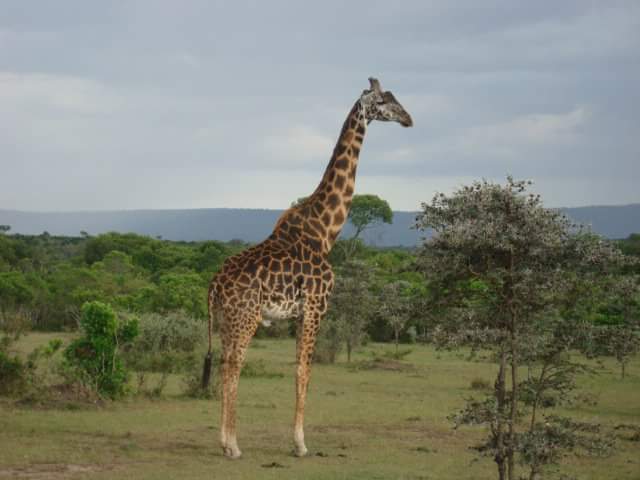 fb_img_1457609192352