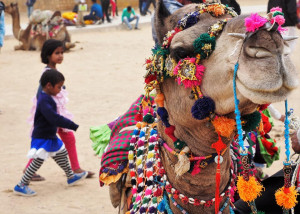 52982008_10214126362140888_8049689729785921536_n