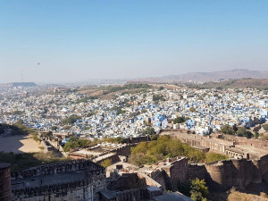 53067830_10214125512639651_6247196091431780352_n