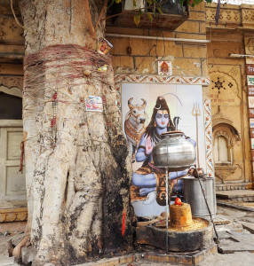 53069466_10214126371901132_5249547734863577088_n