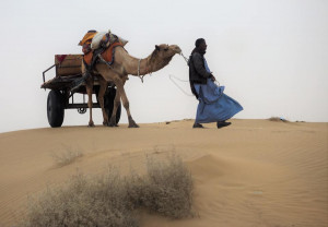 53110924_10214126385661476_3888235598170816512_n