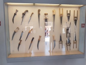 53581871_10214125526640001_4766206284468846592_n