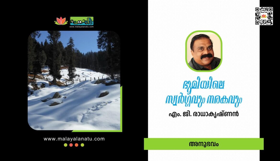 526444747_10228070586805352_1099127307789364815_n